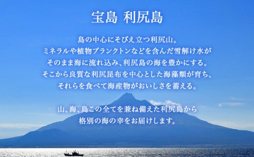 北海道 利尻島産 天然蝦夷あわび 500g＜中＞（80g～100gサイズ）＜利尻漁業協同組合＞ 北海道 あわび 鮑 刺身