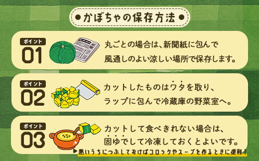 【2025年9月以降発送】北海道 豊浦産 かぼちゃ 味平 約10kg 5～7玉入り 【ふるさと納税 人気 おすすめ ランキング 野菜 その他野菜 かぼちゃ 南瓜 カボチャ 国産 味平 おいしい 美味しい 北海道 豊浦町 送料無料】 TYUH004