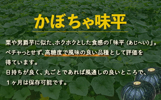 【2025年9月以降発送】北海道 豊浦産 かぼちゃ 味平 約10kg 5～7玉入り 【ふるさと納税 人気 おすすめ ランキング 野菜 その他野菜 かぼちゃ 南瓜 カボチャ 国産 味平 おいしい 美味しい 北海道 豊浦町 送料無料】 TYUH004