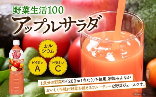 カゴメ 高β-カロテン にんじんジュース 野菜生活100 アップルサラダ 720ml PET 2種 各15本 計30本 野菜ジュース 野菜 果実 ジュース にんじん ミックスジュース フルーツジュース 果物 飲料 お取り寄せ ギフト ペットボトル KAGOME 送料無料 那須塩原市 ns039-003