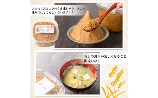 【0121310a】自家製麦みそ(900g×3P) 味噌 麦味噌 調味料 国産 みそ汁【村山製油】