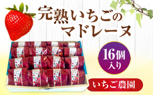 【配達不可：離島】 愛西市産 いちごのマドレーヌ いちご農園 16個入り 洋菓子 マドレーヌ イチゴ 愛西市/エール・ブランシュ [AEAU007]