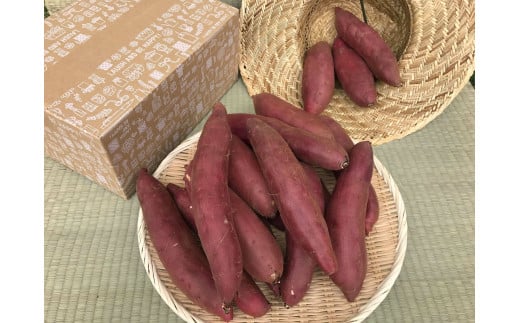 KBE-59　焼き芋好きのためのさつま芋　紅はるか10kg【茨城県共通返礼品・行方市産】