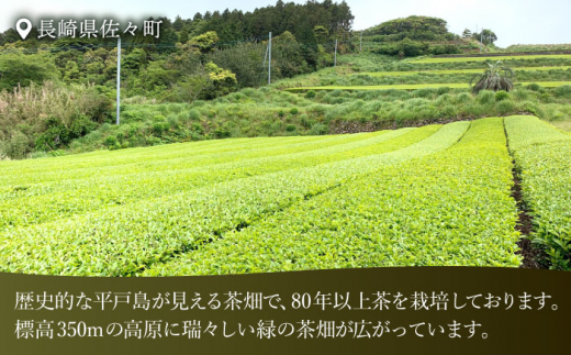 【全6回定期便】【心身ともにリラックス】ブレンド茶 「天賦のちから」・ギャバロン茶    （120g＋7個入）×2/回【上ノ原製茶園】 [QAO034]