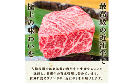  近江牛 サーロイン ステーキ 500g ( 250g×2 ) 冷凍  ( 黒毛和牛 ブランド 肉 三大和牛 贈り物 ギフト 滋賀県 竜王町 古株牧場 神戸牛 松阪牛 に並ぶ 日本三大和牛 ふるさと納税 )