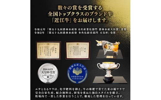  近江牛 サーロイン ステーキ 500g ( 250g×2 ) 冷凍  ( 黒毛和牛 ブランド 肉 三大和牛 贈り物 ギフト 滋賀県 竜王町 古株牧場 神戸牛 松阪牛 に並ぶ 日本三大和牛 ふるさと納税 )