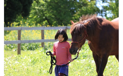 8:30 Recreational Riding：馬のふれあい・レクリエーションセラピーを体験します。