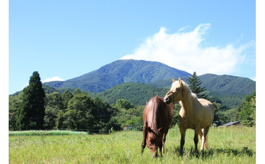 15:00 Check in：黒姫山の麓にある高原牧場で、茶々丸と雪丸の２頭が、皆さんをお出迎えします。