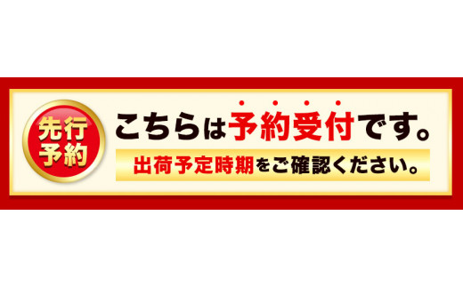 宝ねぎ ねぎ 3Lサイズ5本~2Lサイズ7本 《1月中旬‐3月中旬より出荷予定》有限会社美馬グリーンサービス ネギ 野菜 青果物 徳島県 美馬市 送料無料