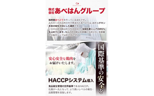 【あべどり】もも＆むね＆ハンバーグセット 株式会社阿部繁孝商店《30日以内に出荷予定(土日祝除く)》 岩手県 九戸村 鶏肉 チキン あべはんグループ もも肉 むね肉 ハンバーグ セット