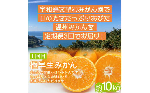 でん助農園の温州みかんリレー　ご家庭用　３回定期便（極早生・早生・中生）　