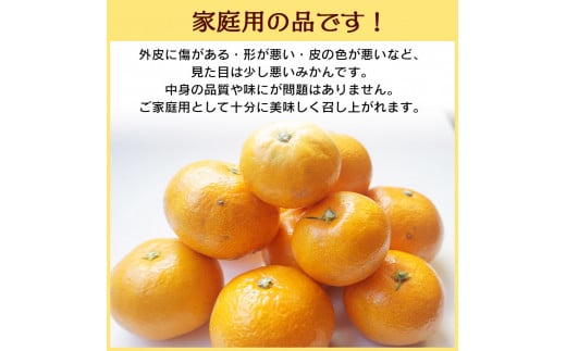 でん助農園の温州みかんリレー　ご家庭用　３回定期便（極早生・早生・中生）　