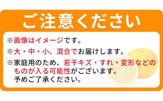 でん助農園の温州みかんリレー　ご家庭用　３回定期便（極早生・早生・中生）　