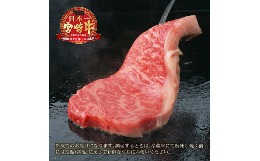 宮崎牛サーロインステーキ(400g・200g×2) 牛肉 精肉 肉 ブランド和牛 お取り寄せ 国産 宮崎県【SG015】【株式会社SHINGAKI】