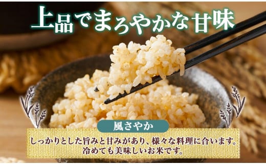 無地熨斗 令和6年産 風さやか 玄米 5kg×1袋 長野県産 米 お米 ごはん ライス 低GI 甘み 農家直送 産直 信州 人気 ギフト 平林農園 熨斗 のし 名入れ不可 送料無料 長野県 大町市