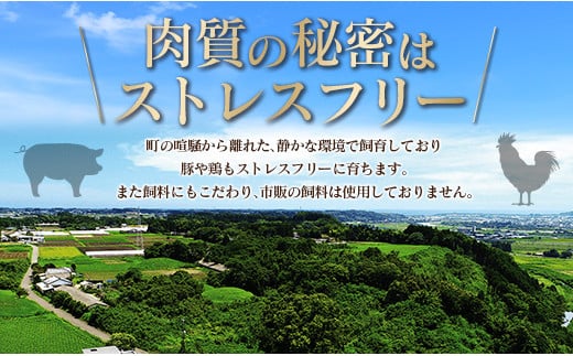 ＜配送月が選べる!!＞小分けで便利！10パックでお届け＜訳あり 宮崎県産 豚切落し 5kg＞2025年2月にお届け【C325-202502】