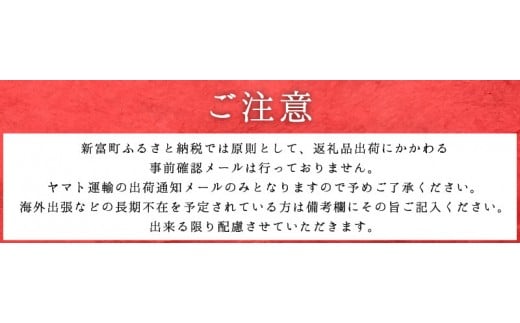 ＜配送月が選べる!!＞小分けで便利！10パックでお届け＜訳あり 宮崎県産 豚切落し 5kg＞2025年2月にお届け【C325-202502】