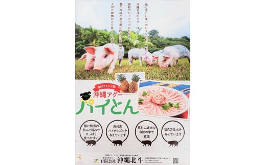 【計2kg】沖縄県産豚＆東村産アグー豚『パイとん』 こま肉食べ比べセット