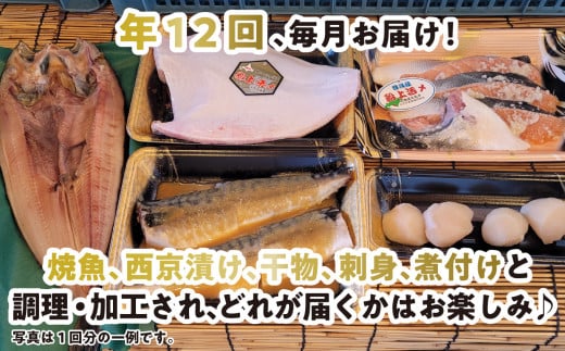 ＜定期便12回＞北海道産 旬 の お魚 4～5種 お楽しみ 定期便 魚 旬のお魚 セット