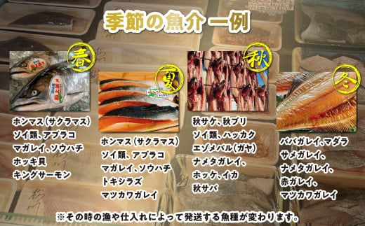 ＜定期便12回＞北海道産 旬 の お魚 4～5種 お楽しみ 定期便 魚 旬のお魚 セット