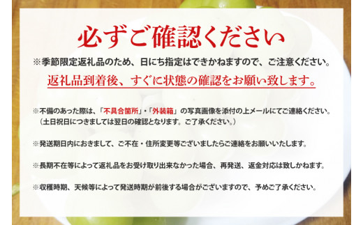 【先行予約】シャインマスカット約500g×2房（約1kg）【数量限定 フルーツ 果物 新鮮 種無し 葡萄 マスカット 鹿嶋市 茨城県】（KBT-4）