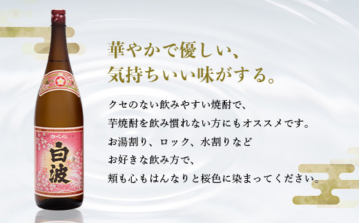 枕崎の定番焼酎＜さくら白波＞1800ml×2本セット＜薩摩焼酎＞黄麹 芋焼酎 A6-96【1167971】