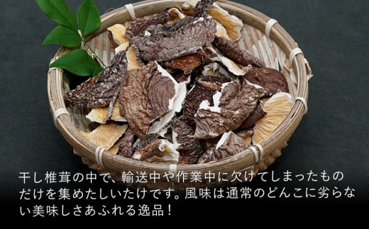 乾燥椎茸 カケ葉 椎茸 100g×5パック 乾しいたけ 干し椎茸 干ししいたけ 乾燥しいたけ 干しシイタケ 原木 大分県産 九州産 中津市 国産 送料無料