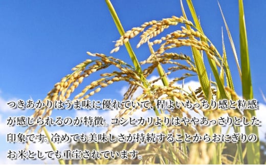 【令和6年産新米】宮城県産つきあかり 精米 白米10kg（5kg×2袋） [№5704-0679]