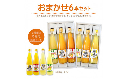 オレンジ園の濃縮ジュース 500ml おまかせ6本入り 6回定期便 希釈用 みかんジュース チューハイ用 ドリンク ジュース 柑橘類 蜜柑 みかん【J00117】