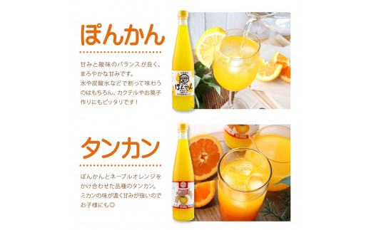 オレンジ園の濃縮ジュース 500ml おまかせ6本入り 6回定期便 希釈用 みかんジュース チューハイ用 ドリンク ジュース 柑橘類 蜜柑 みかん【J00117】