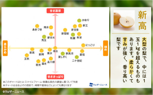 【新高約3kg】かまがや育ちの完熟梨（観光組合）4~6玉