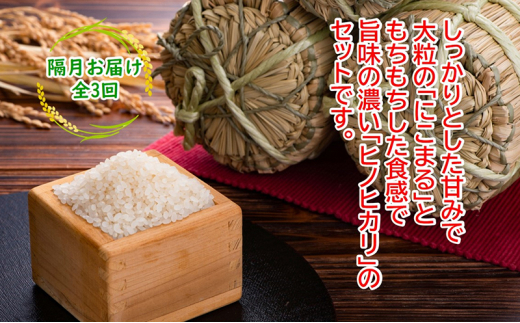 農林水産省の「つなぐ棚田遺産」に選ばれた棚田で育てられた土佐天空の郷 5kg食べくらべセット定期便 隔月お届け 全3回