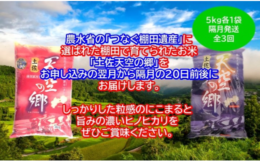 農林水産省の「つなぐ棚田遺産」に選ばれた棚田で育てられた土佐天空の郷 5kg食べくらべセット定期便 隔月お届け 全3回