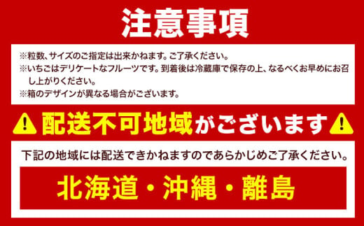 福岡県産あまおうギフト箱 & ふくや味の明太子 540g 南国フルーツ株式会社《1月上旬-3月末頃出荷》福岡県 鞍手町 あまおう いちご めんたいこ 明太子 セット 送料無料