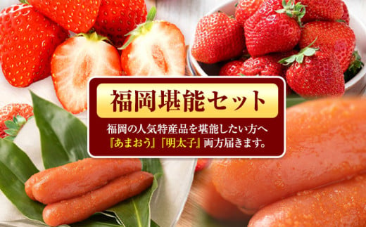 福岡県産あまおうギフト箱 & ふくや味の明太子 540g 南国フルーツ株式会社《1月上旬-3月末頃出荷》福岡県 鞍手町 あまおう いちご めんたいこ 明太子 セット 送料無料