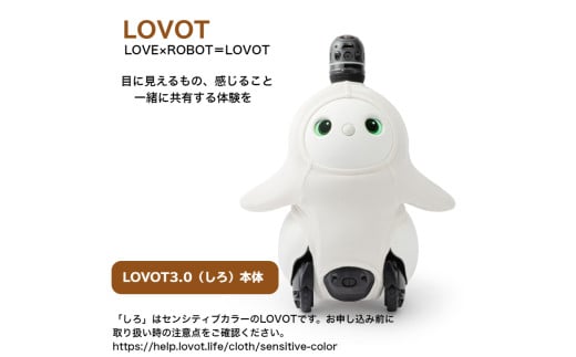LOVOT　 三点セット(オレンジ) LOVOT 3.0（しろ）／No.250123-04 | 静岡県伊豆の国市 | KABU&
