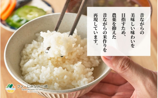 令和6年産 特別栽培米 新潟県五泉産コシヒカリ 「南郷米」 3kg 精米 新潟県 五泉市 ファームみなみの郷