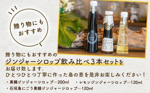 ジンジャーシロップ飲み⽐べ3種セット(200ML×1本、120ML×2本)　HW-5 【沖縄県石垣市 沖縄 沖縄県 琉球 八重山 八重山諸島 石垣 石垣島 送料無料 ⽯垣島産⽣姜 生姜 シロップ ジンジャー ジンジャーシロップ グラニュー糖 黒糖 砂糖 ⾚唐⾟⼦ 果汁 塩 ⽯垣の塩 レモングラス レモン フルーツ ミント  ギフト 国産】