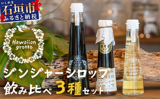 ジンジャーシロップ飲み⽐べ3種セット(200ML×1本、120ML×2本)　HW-5 【沖縄県石垣市 沖縄 沖縄県 琉球 八重山 八重山諸島 石垣 石垣島 送料無料 ⽯垣島産⽣姜 生姜 シロップ ジンジャー ジンジャーシロップ グラニュー糖 黒糖 砂糖 ⾚唐⾟⼦ 果汁 塩 ⽯垣の塩 レモングラス レモン フルーツ ミント  ギフト 国産】