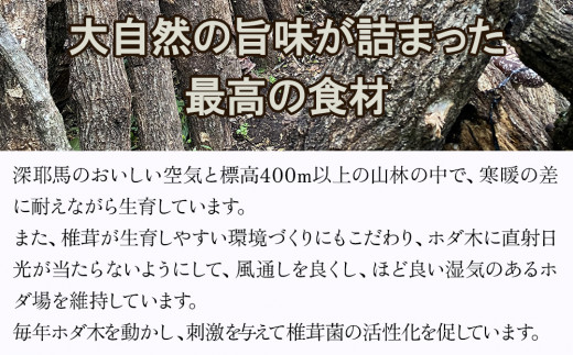 【数量・期間限定】香味！乾しいたけ 150g(大サイズ) 乾燥椎茸 しいたけ シイタケ 干し椎茸 干ししいたけ 原木栽培 茸 きのこ 大分県産 九州産 中津市 国産