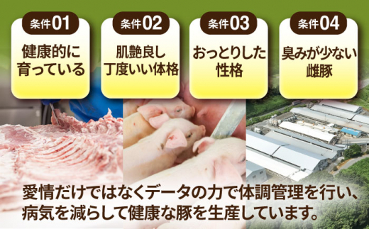 【焼肉用】三重県 亀山市 豚肉 バラ 1kg 小林ファームが愛情こめて育てた三元豚 亀山市/小林ファーム 冷蔵 豚バラ 送料無料 [AMAB002-1]