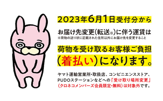 朝日町産米「はえぬき」10㎏×3ヶ月定期便【4月～6月配送】