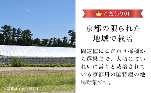 ＜2024年7月発送開始！＞万願寺甘とう　化粧箱入　秀品150g×8袋<1.2kg>  ふるさと納税 万願寺 甘とう とうがらし 大型 肉厚 甘い 京都府 福知山市