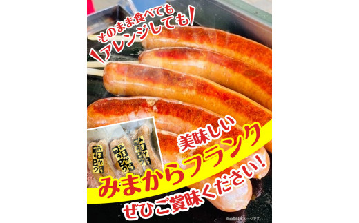 みまからフランク 540g(90g×6本) 《30日以内に出荷予定(土日祝除く)》一般社団法人美馬観光ビューロー徳島県 美馬市 みまから 特産品 美馬市産 青唐辛子 お鍋 ソーセージ フランクフルト ブランド豚肉 阿波美豚