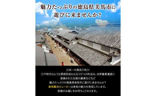 みまからフランク 540g(90g×6本) 《30日以内に出荷予定(土日祝除く)》一般社団法人美馬観光ビューロー徳島県 美馬市 みまから 特産品 美馬市産 青唐辛子 お鍋 ソーセージ フランクフルト ブランド豚肉 阿波美豚