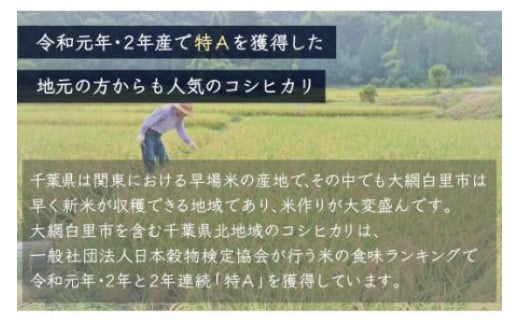 ＜6ヶ月定期便＞千葉県産「コシヒカリ」10kg×6ヶ月連続 計60kg ふるさと納税 米 定期便 10kg コシヒカリ 千葉県 大網白里市 送料無料