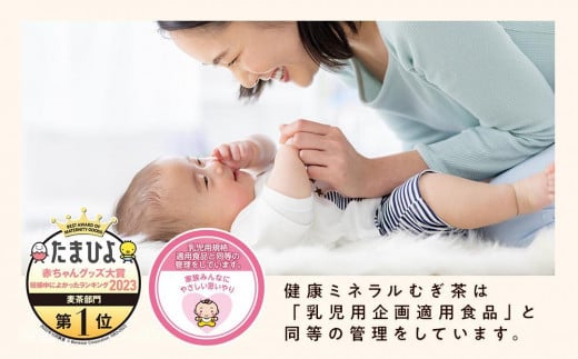 伊藤園 健康ミネラル麦茶 2L 6本×2ケース 計12本