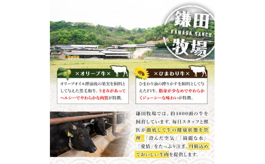 〈数量限定〉香川県産 オリーブ牛切り落とし (計600g・300g×2) 国産 牛肉 お肉 牛 赤身 霜降り 切り落し 黒毛和牛 和牛 冷凍 【man146】【カワイ】