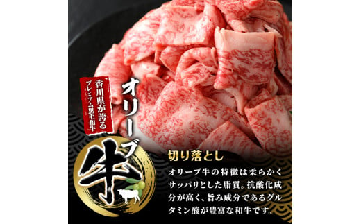 〈数量限定〉香川県産 オリーブ牛切り落とし (計600g・300g×2) 国産 牛肉 お肉 牛 赤身 霜降り 切り落し 黒毛和牛 和牛 冷凍 【man146】【カワイ】