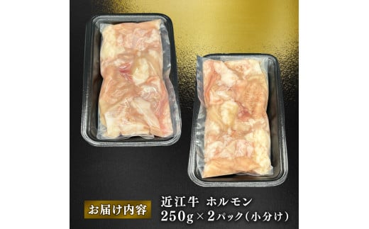 近江牛 ホルモン 500g (250g×2)  ( 黒毛和牛 牛肉 肉 ギフト 焼肉 焼き肉 自宅用 高級 黒毛和牛 国産 ふるさと納税 ブランド牛 三大和牛 和牛 冷凍 贈り物 内祝い 神戸牛 松阪牛 に並ぶ 日本三大和牛 滋賀県 竜王町 澤井牧場 )